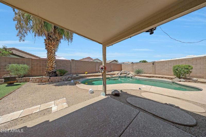 Backyard 1