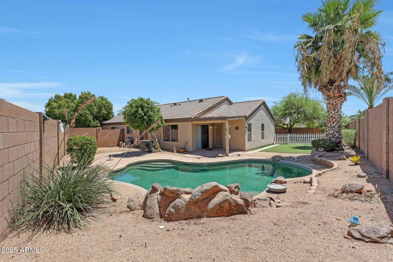 Backyard 3