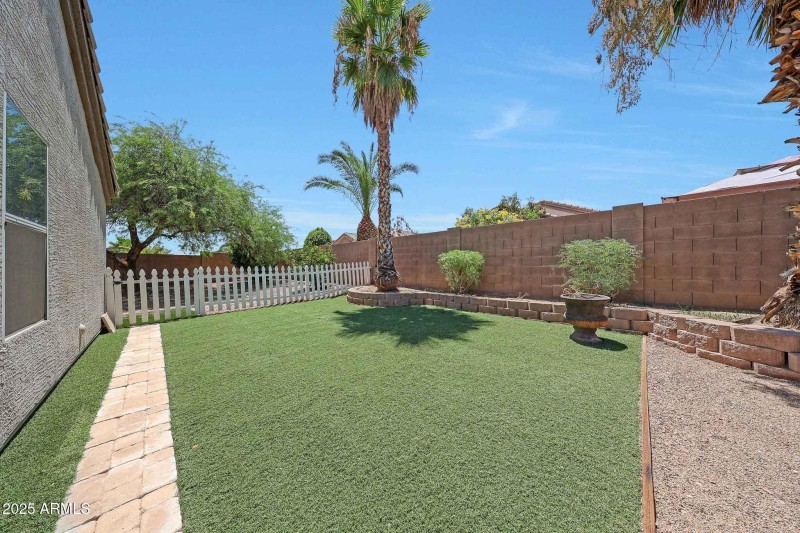 Backyard 4