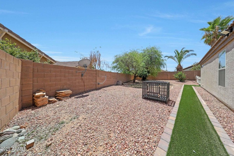 Backyard 6