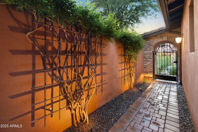Side yard
