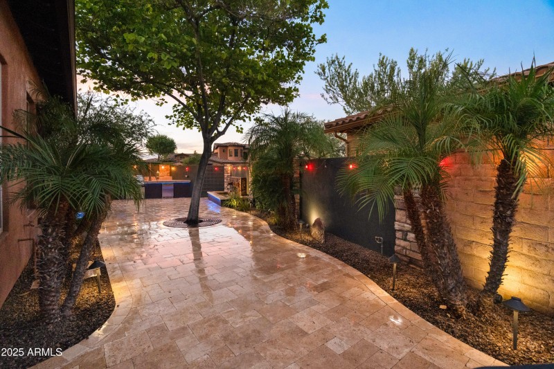 Back yard