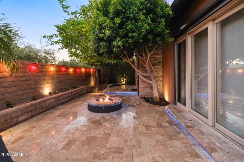 Back yard