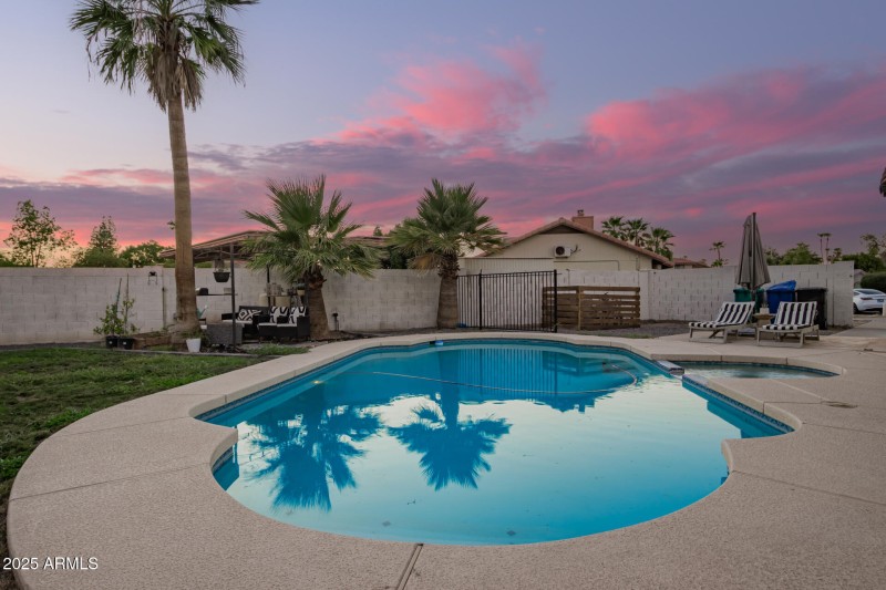 Backyard