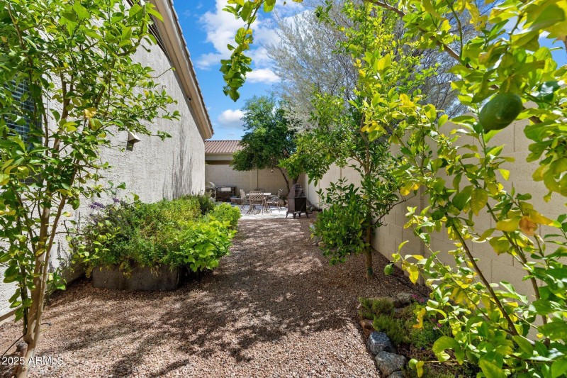 Via Montoya Garden and Citrus Trees