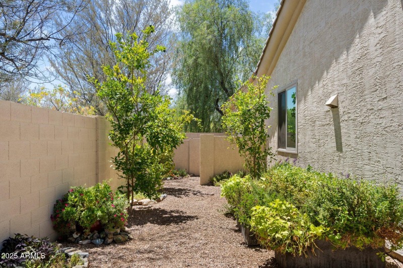 Via Montoya Side Yard Garden