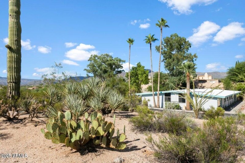 20250320181106227459000000-o