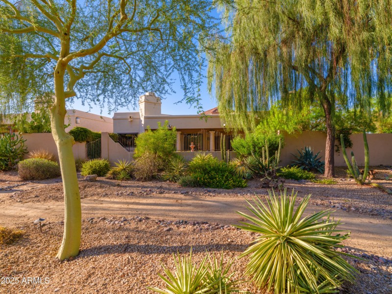 Lush Desert Surrounds You