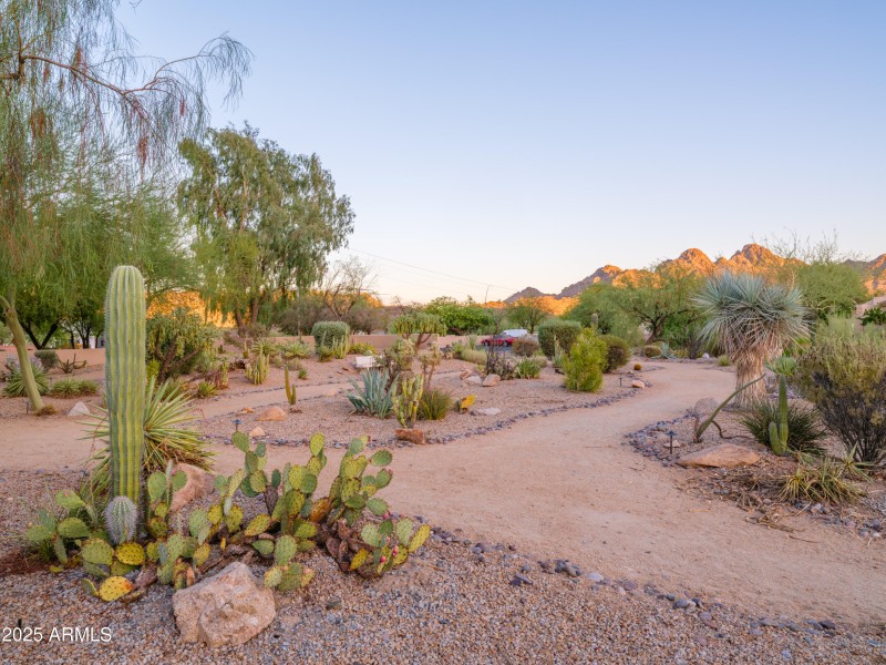 Views of the Phoenix Mountain Preserve