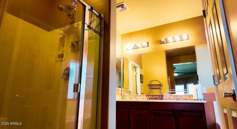 Primary Bathroom (Walk in Shower)