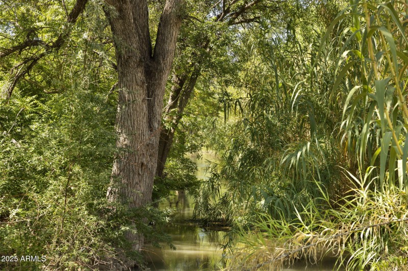 River View