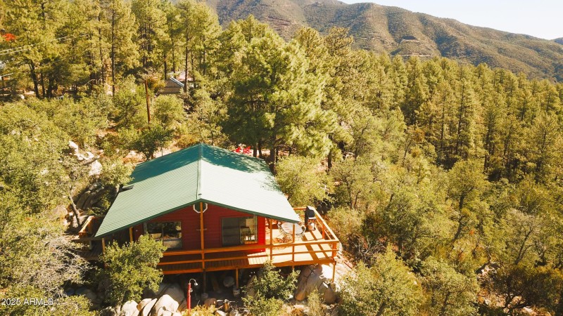Cabin in the pines