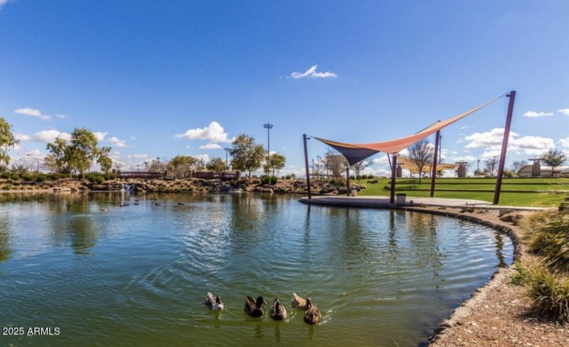 LAKE AREA
