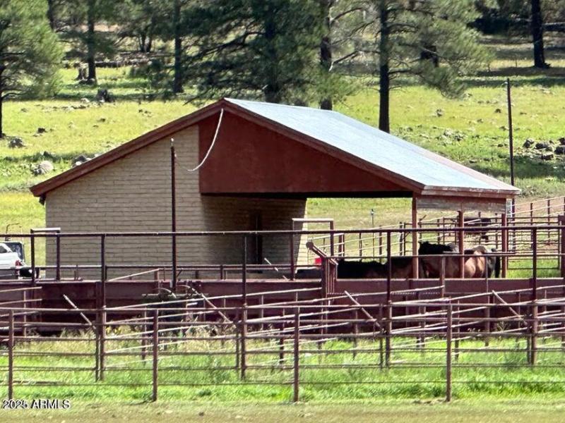 Horses