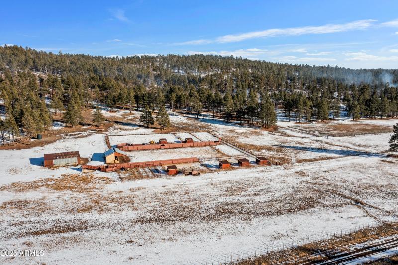 Abuts Coconino Forest