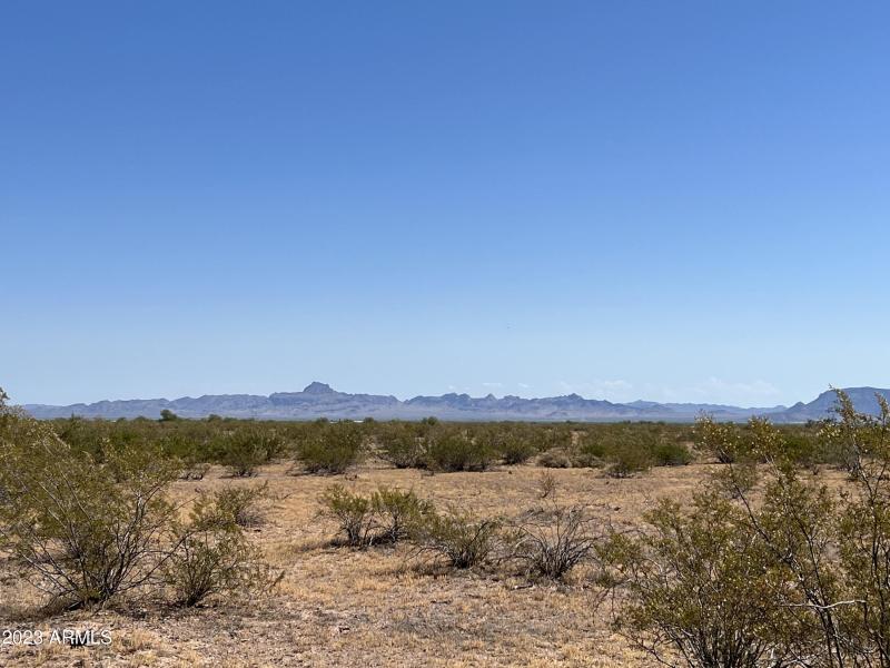 Desert paradise