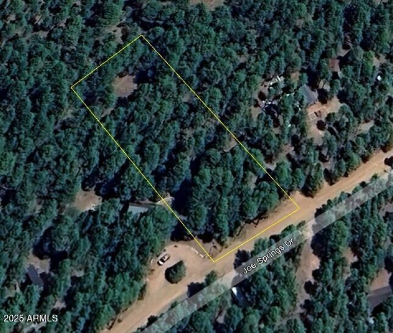 Google Earth view