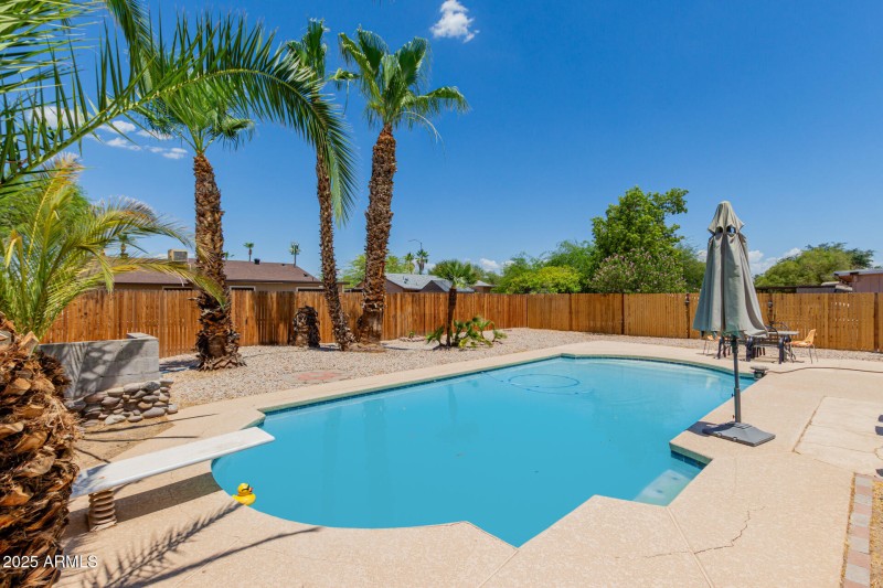 Backyard 2