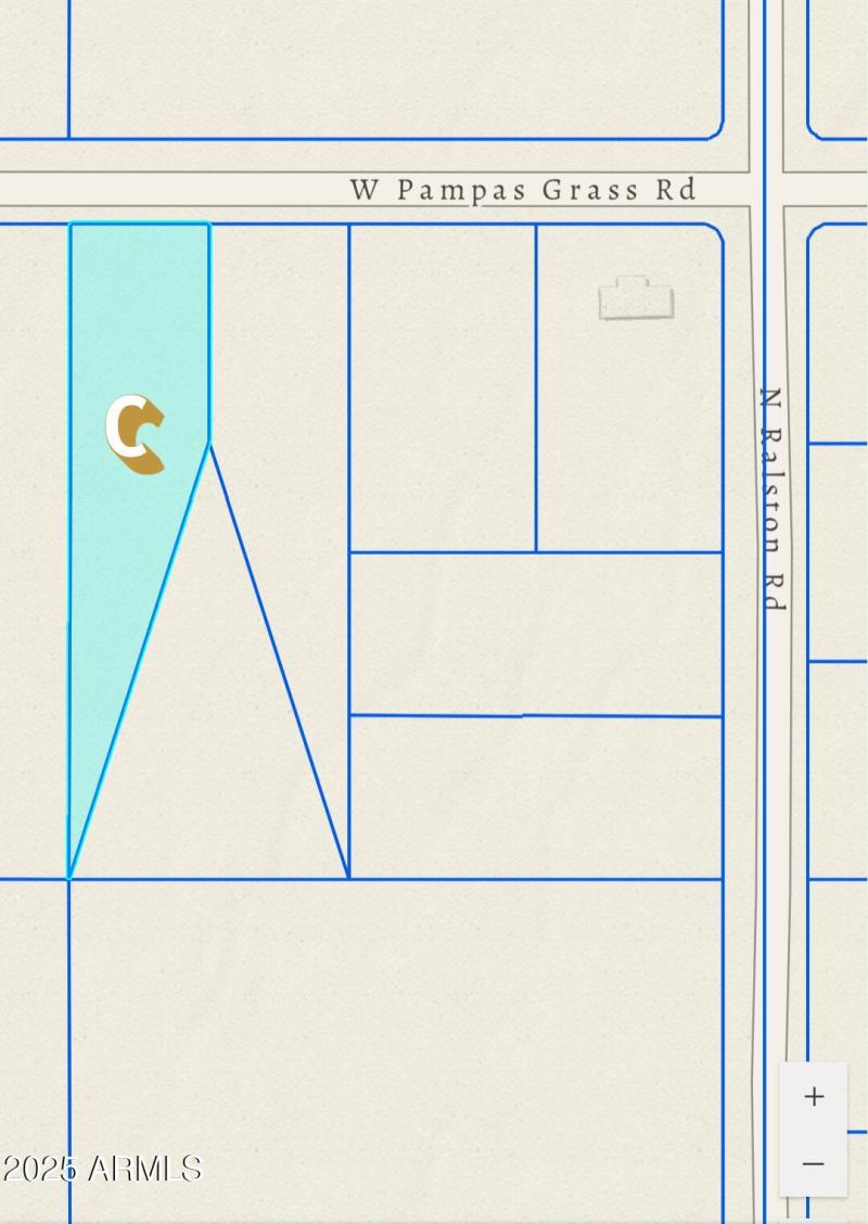 C_Parcel Pic_W.Pampas Grass