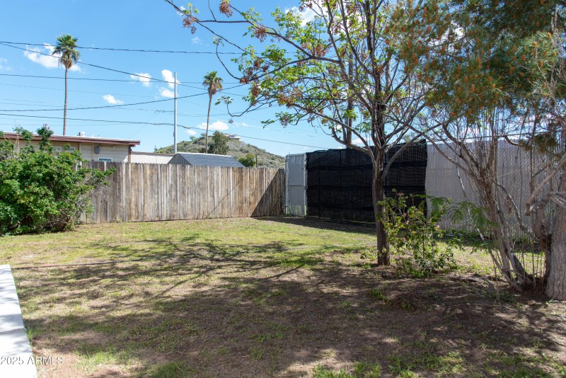 Back yard