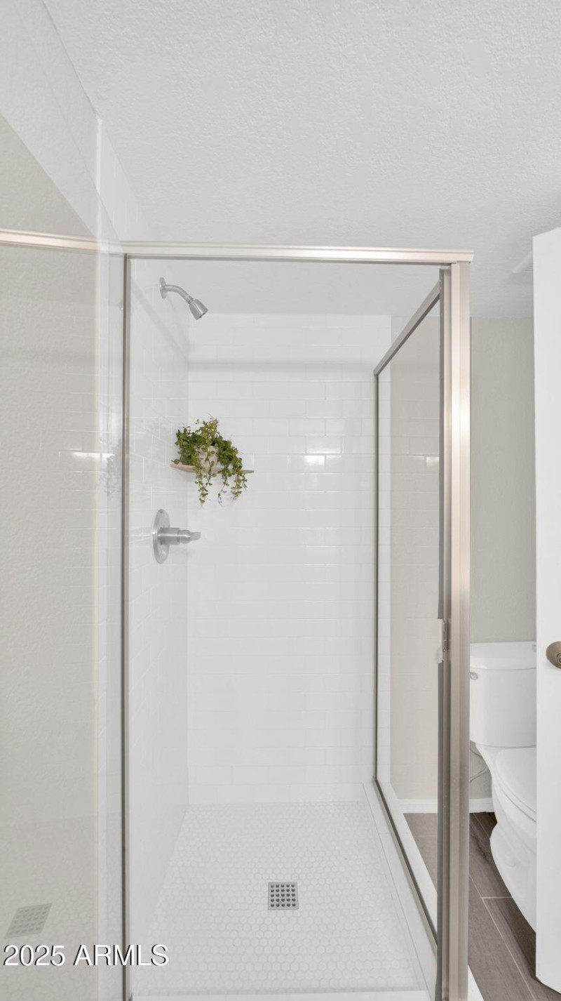 Guest Bath Shower