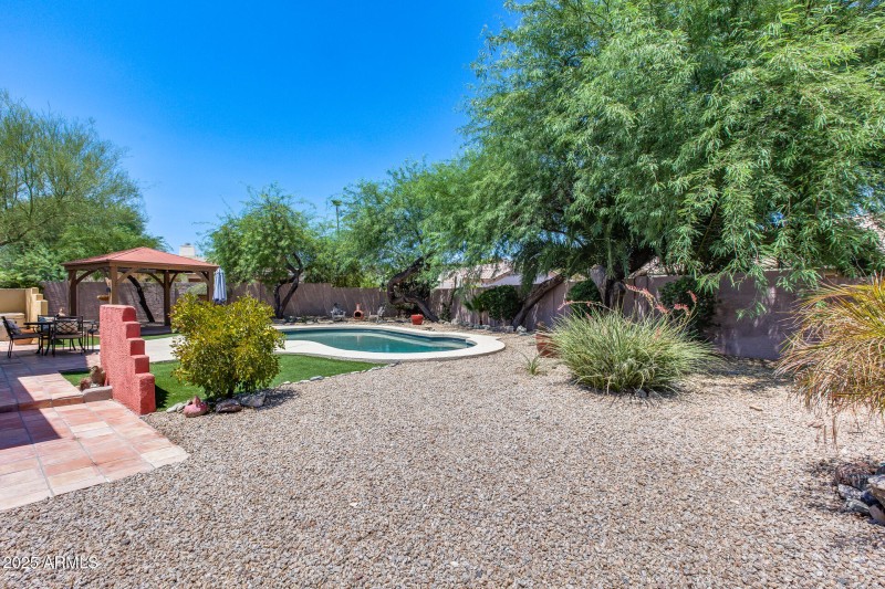 Backyard / Pool