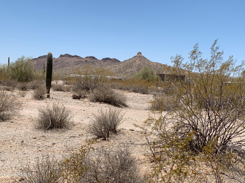 Estate Lot in San Tan Ranches Unit 7!