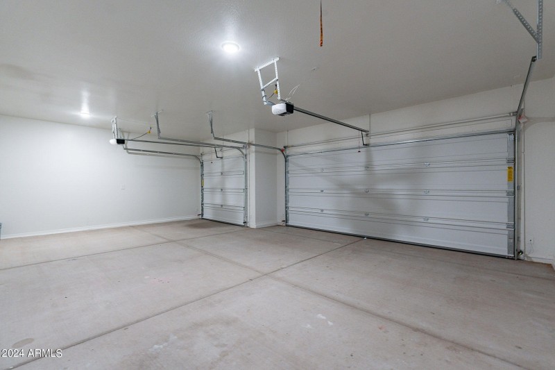 5-web-or-mls-Basil-32