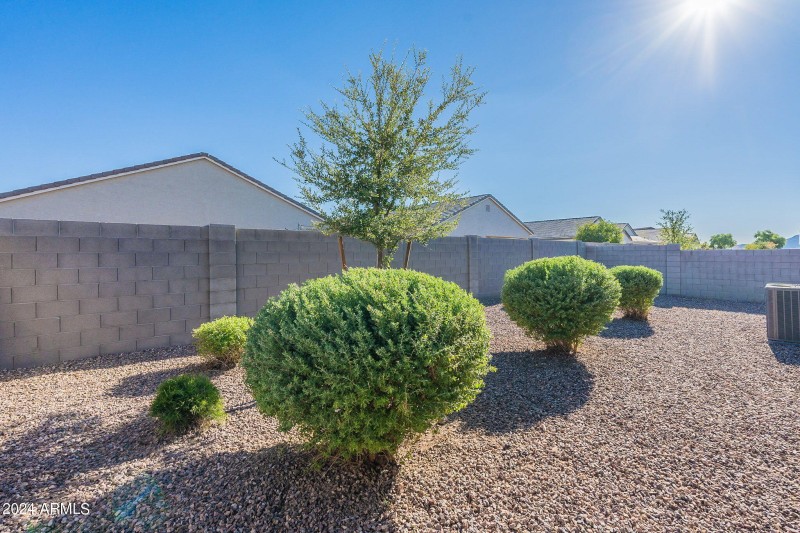 2-web-or-mls-Basil-36