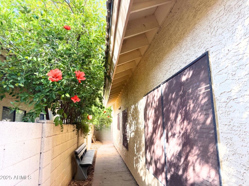 side of house