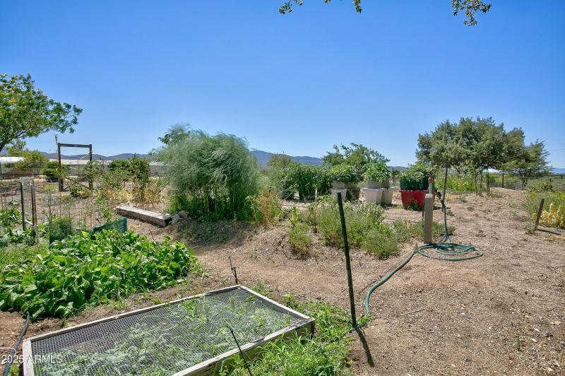 Garden Fully Fenced