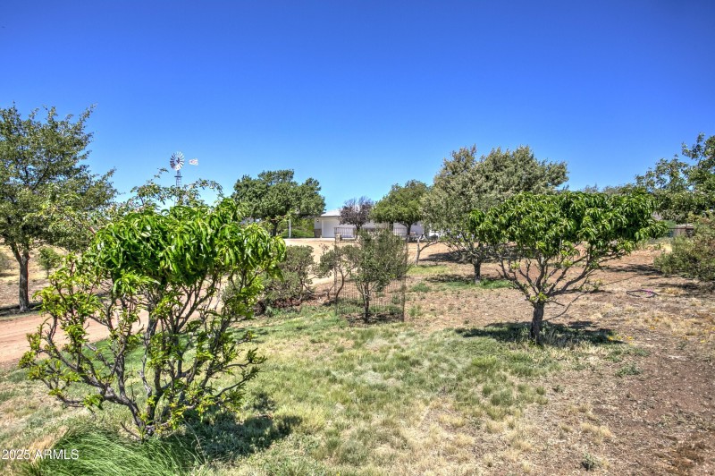 Fruit Tree Orchard