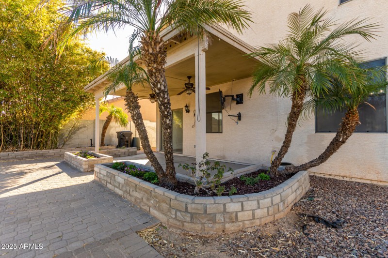 Back Patio