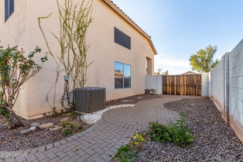 Backyard 5