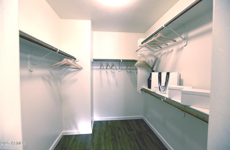 Primary-closet-3