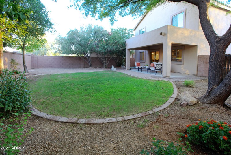 Backyard-looking-S