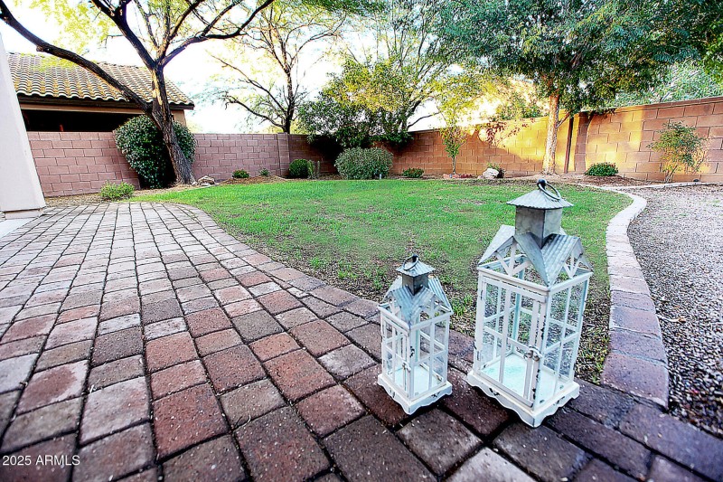 Backyard-Trees