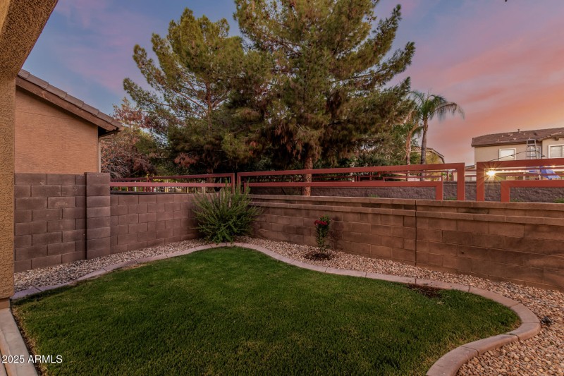 Backyard