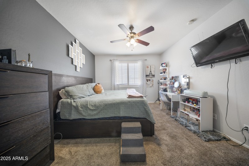 Primary bed