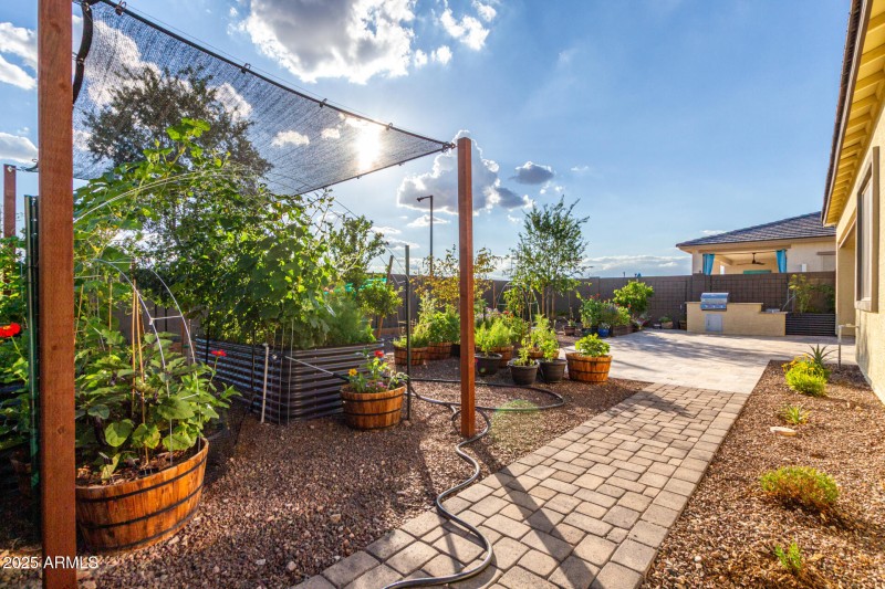 Backyard Landscaping & Garden