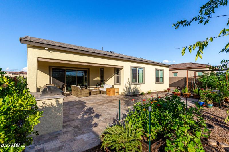 Backyard Landscaping