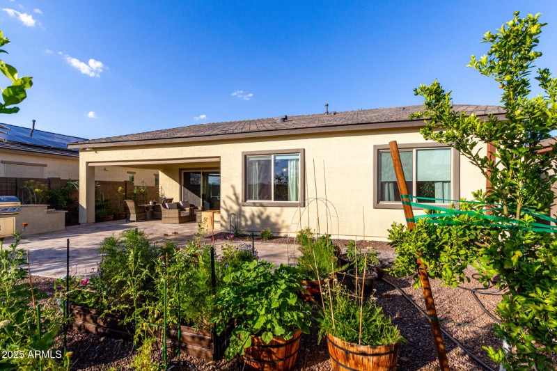 Backyard Landscaping