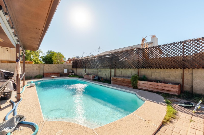Backyard pool 1
