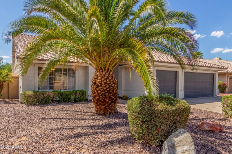 6 Villas