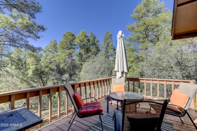 Back Porch 1