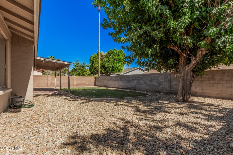 Spacious Yard