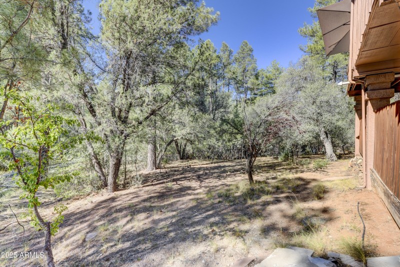 Front Yard 2