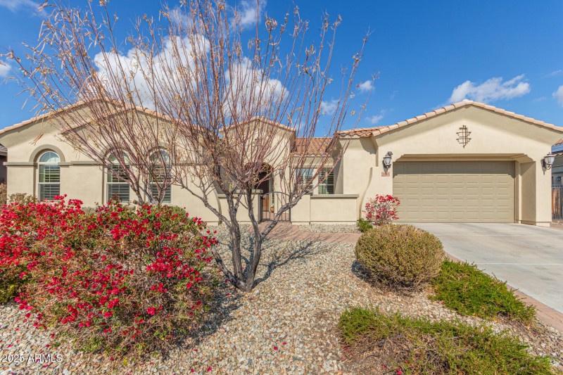 Premium David Weekley construction