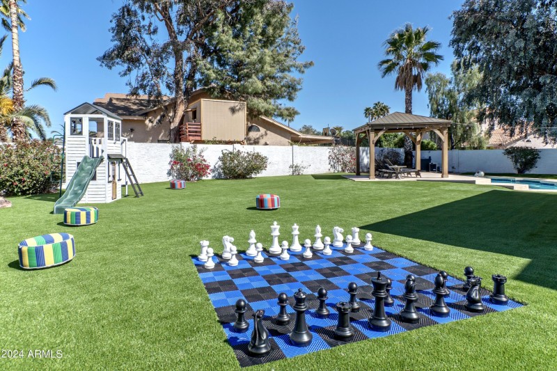 backyard 1