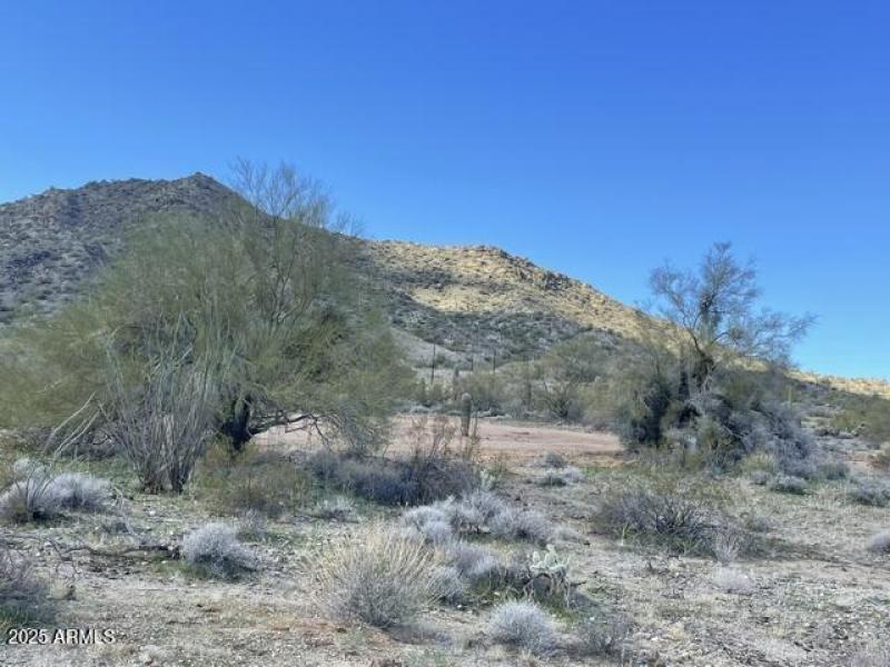 image6